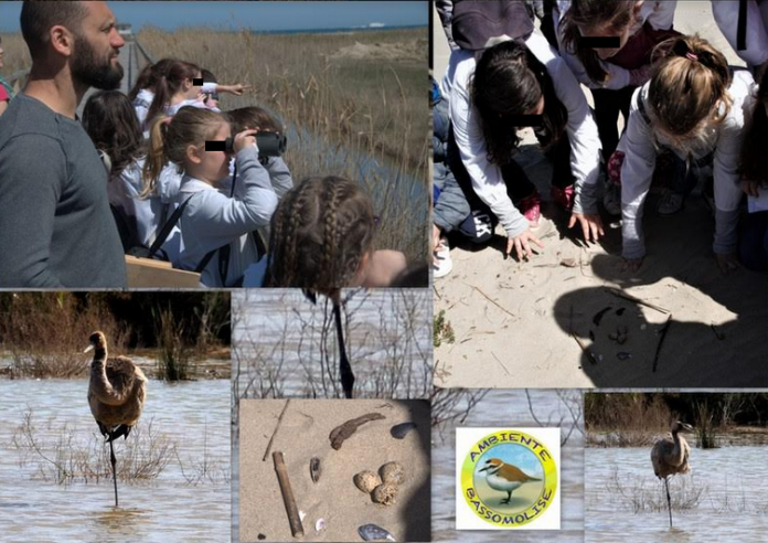 Ambiente Basso Molise