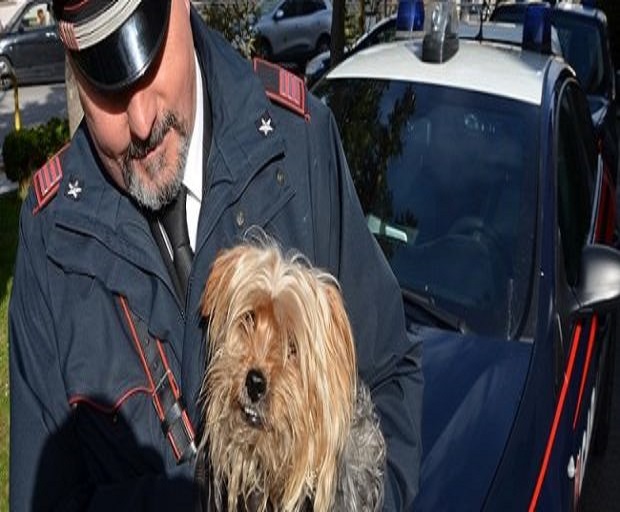 carabinieri salvano cane