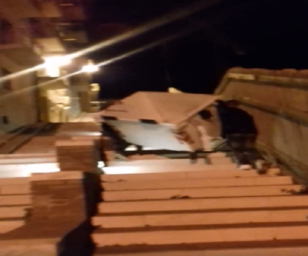 termoli