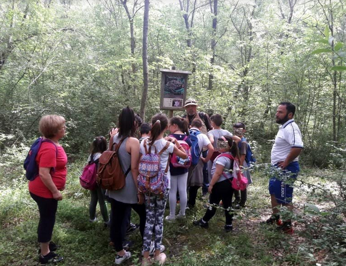 Bosco di Corundoli di Montecilfone1