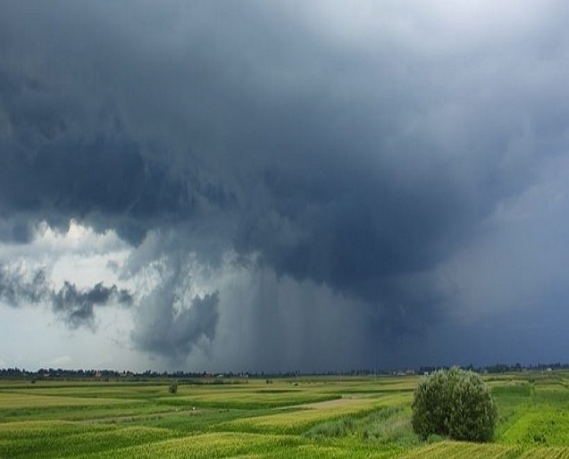 meteo