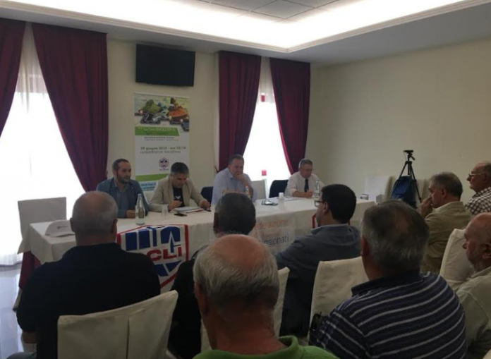 acli molise