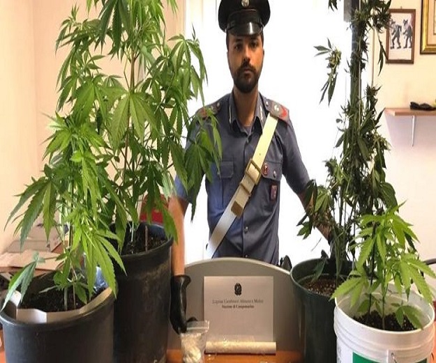 carabinieri sequestro droga