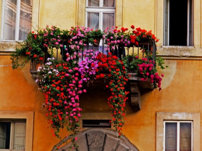 Agosto in fiore
