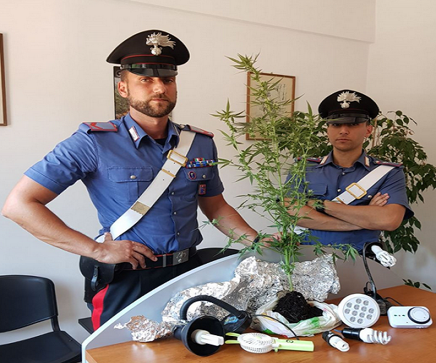 carabinieri - sequestro droga