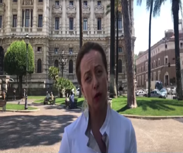 meloni