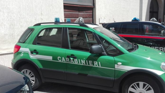 carabinieri forestali