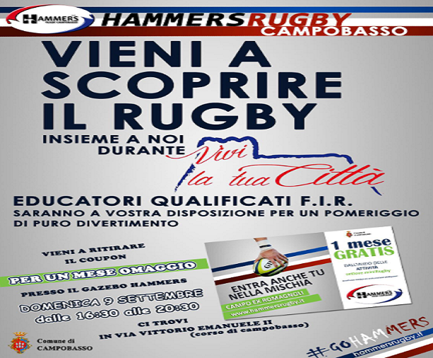 hammers rugby cb