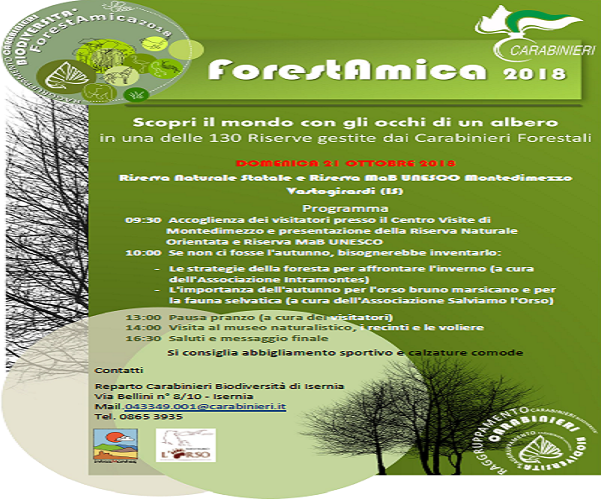 foresta amica 2018