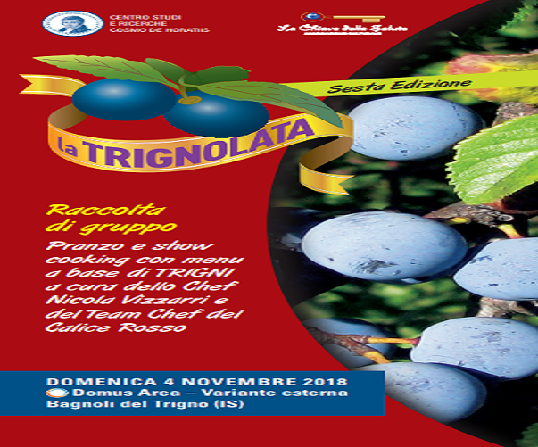 trignolata bagnoli