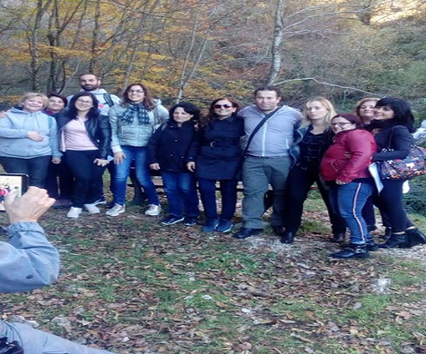 Bosco di Roccamandolfi