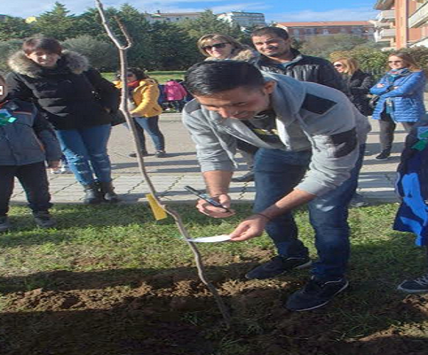 festa dell'albero guglionesi