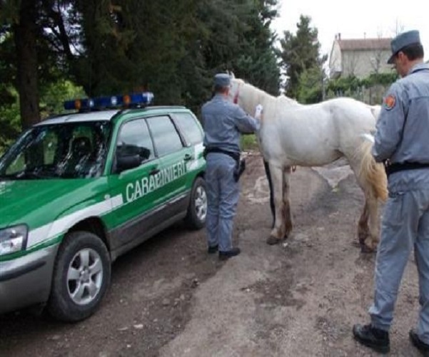 controlli-CC-Forestali-2