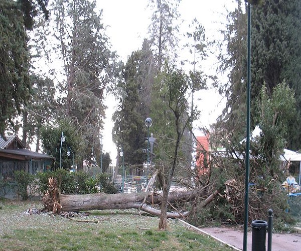 villa comunale is