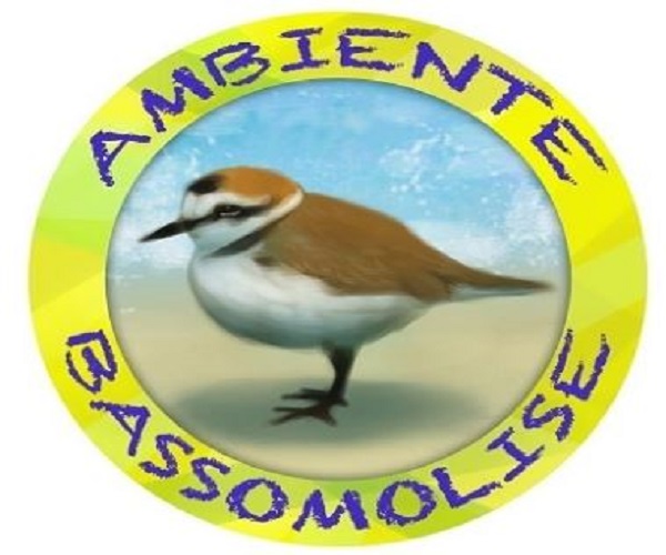 ambiente basso molise