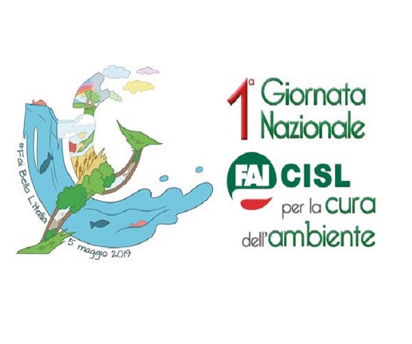 cisl
