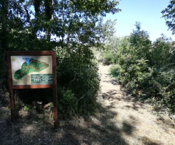 bosco Mazzocca a Riccia