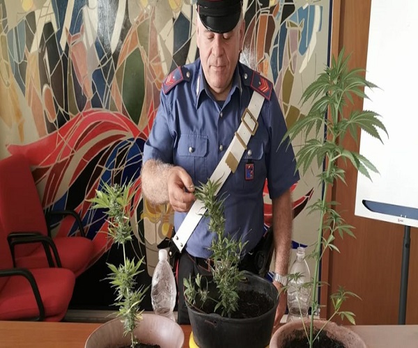 carabinieri is