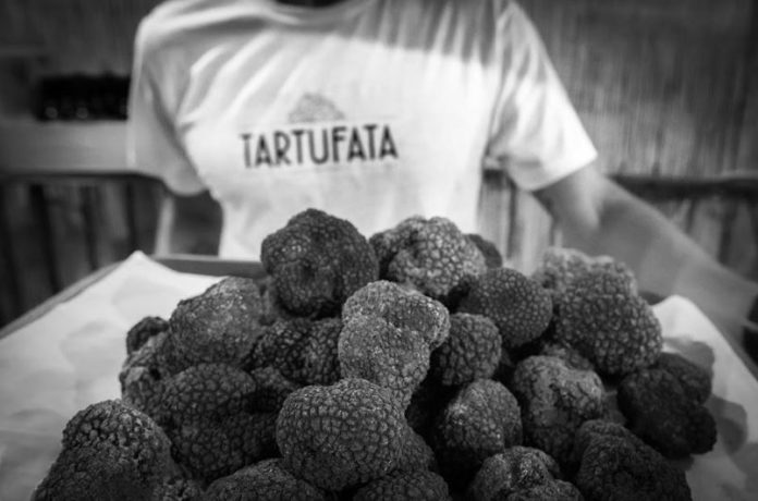 tartufata miranda