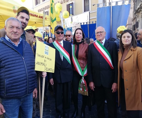 anna barile - venafro