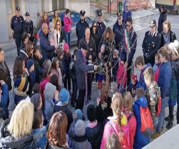 FESTA dell'albero petrella