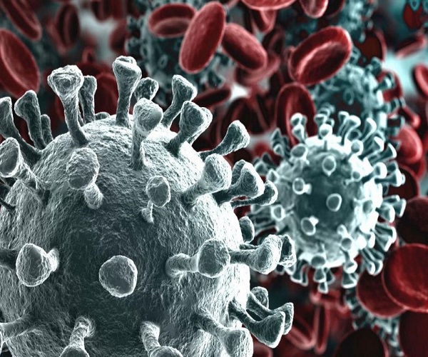 coronavirus 2