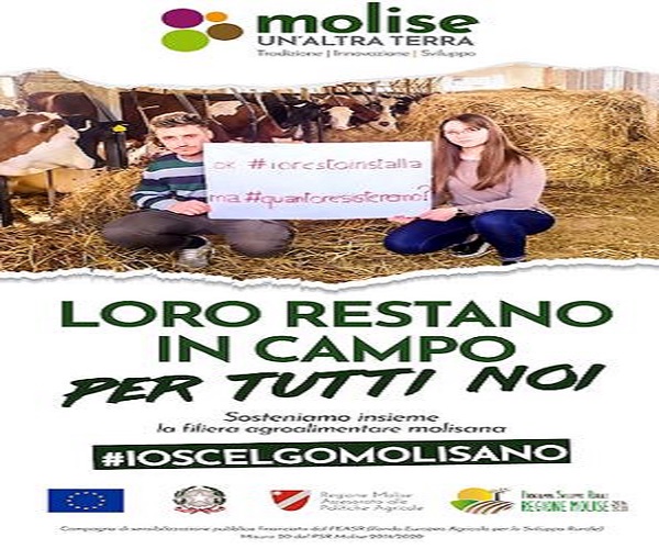 io scelgo
