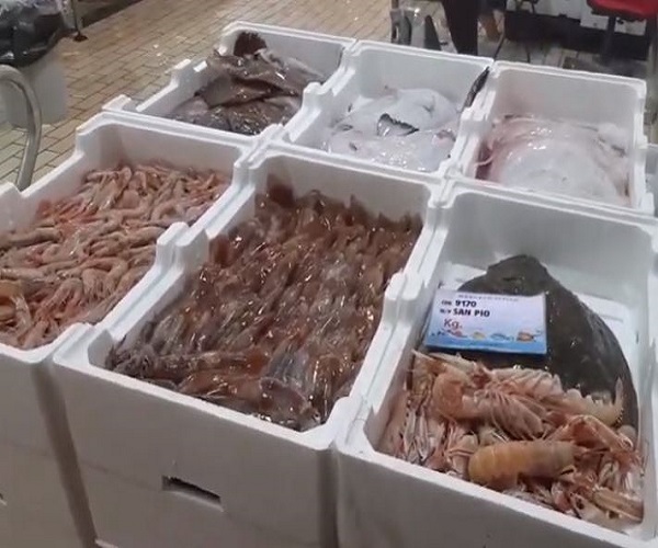 pesce