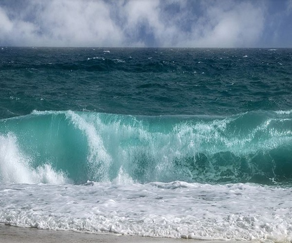 mare
