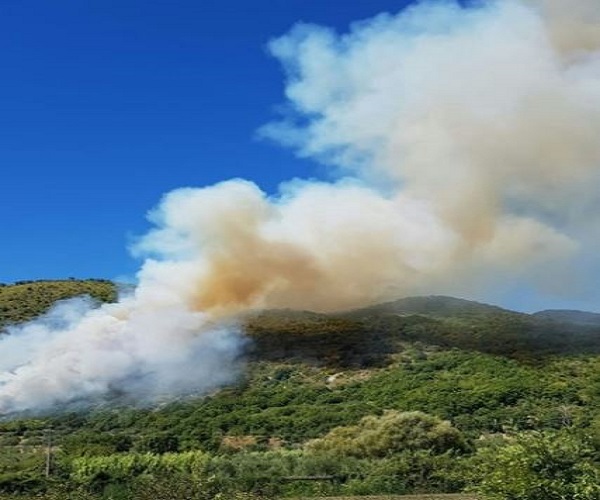 FOTO ANSA MOLISE