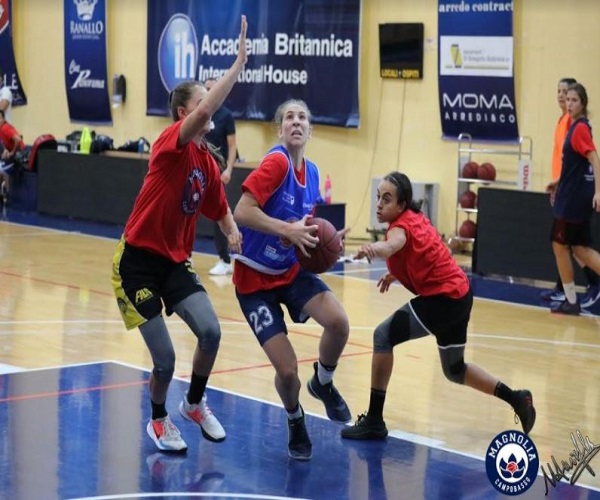 basket cb