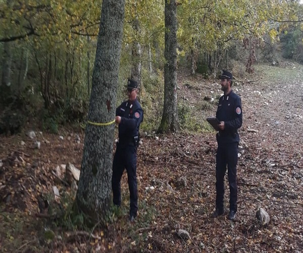 forestali