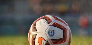 SERIE D