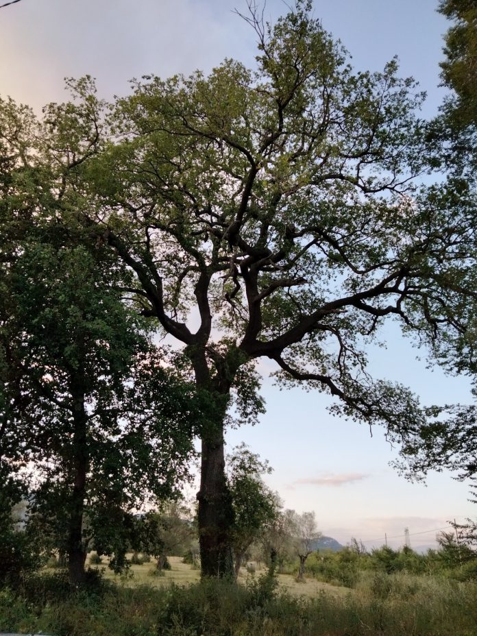 IMG20210525195725