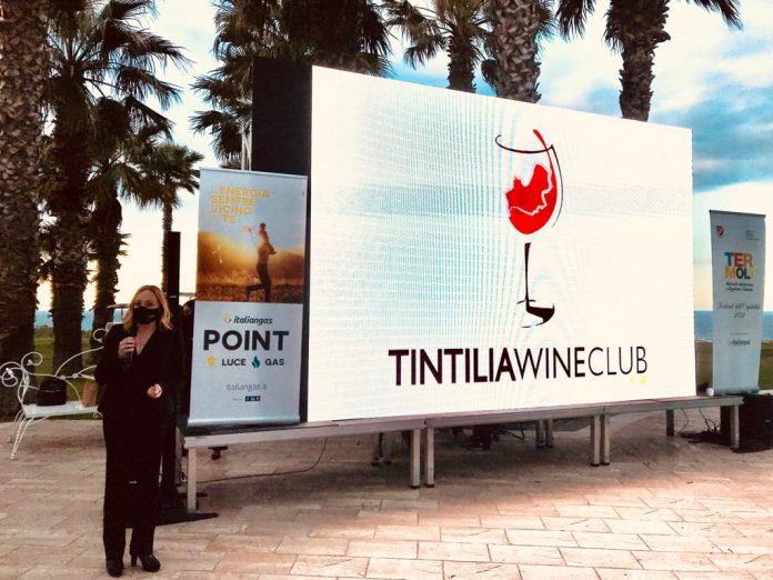 LogoTintilia