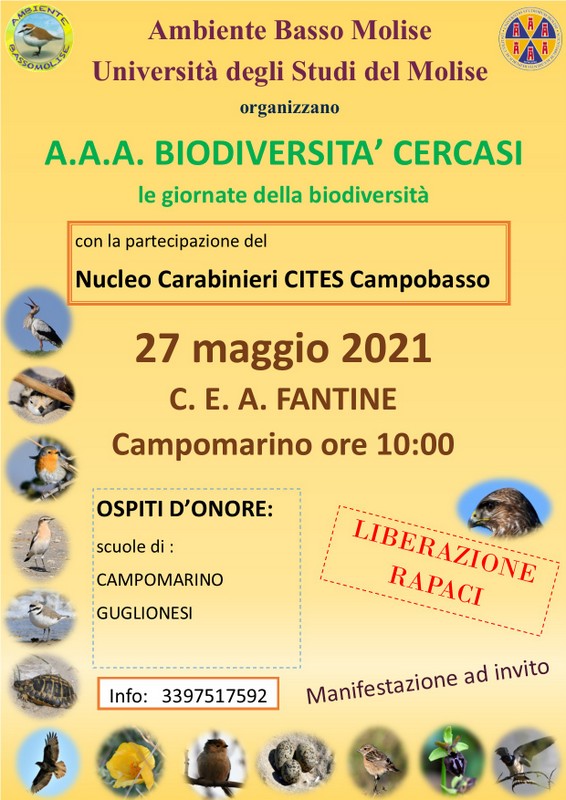 biodiversita