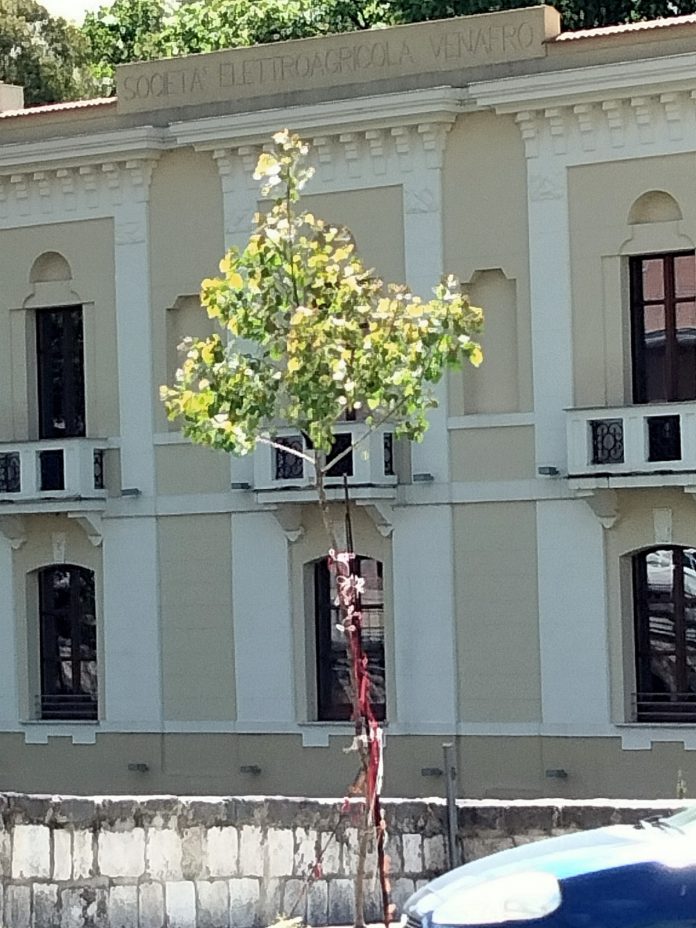 IMG20210522105518