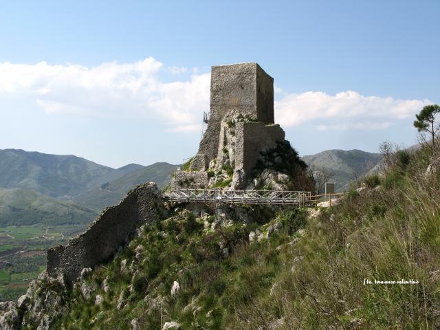 20100419205303_torricella tommaso-rid