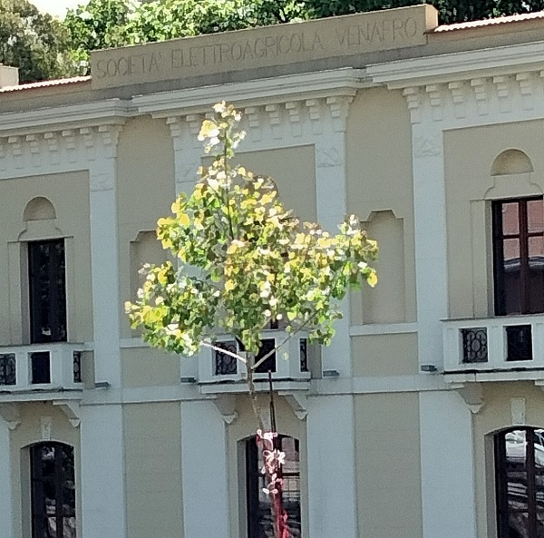 IMG20210522105518