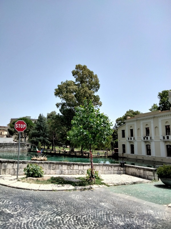 IMG20210712125909