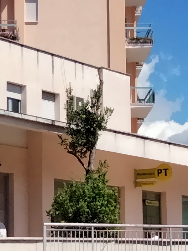 IMG20210901115150