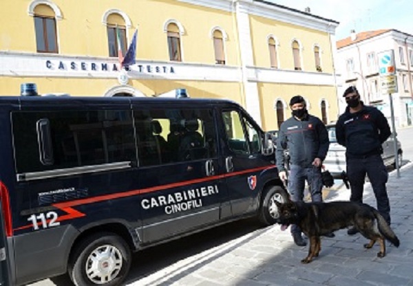 carabinieri-cinofili-cb
