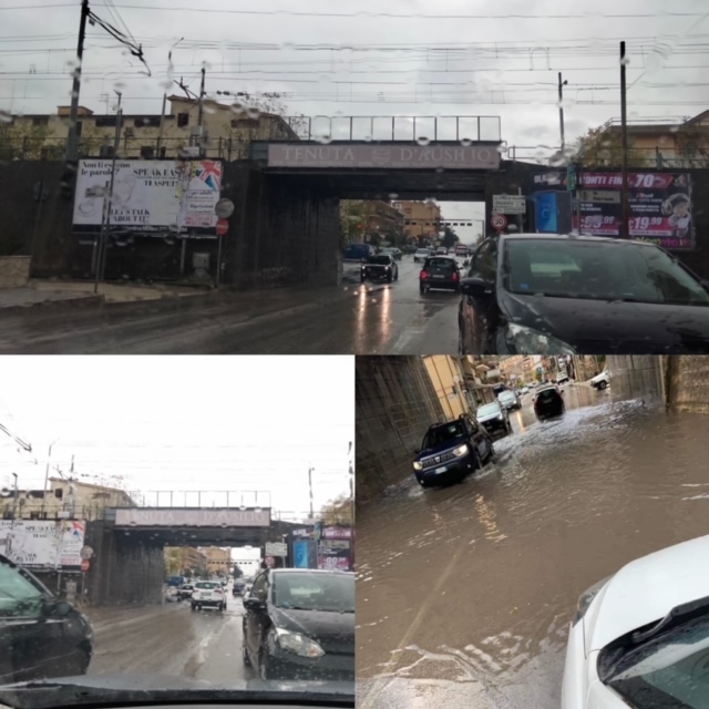 53D783F6-80BA-41F5-923D-22BE8B763719