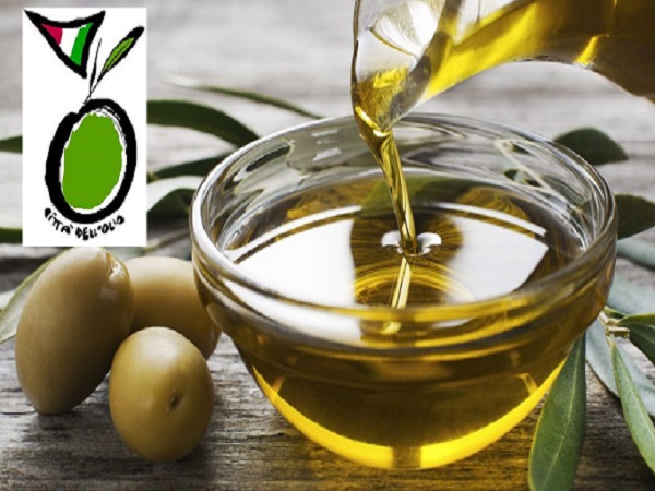 olio-evo-1130x580
