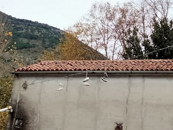 IMG20211203123116