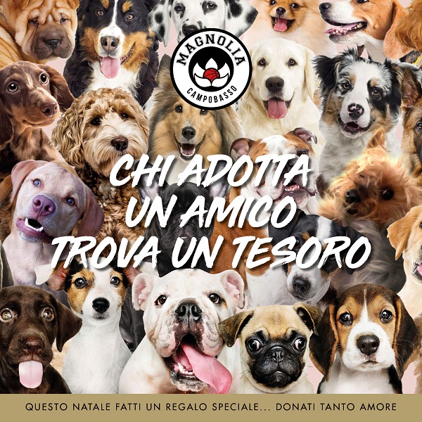 INIZIATIVA CUCCIOLI
