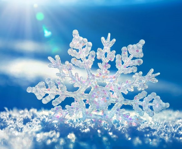 fiocco di neve
