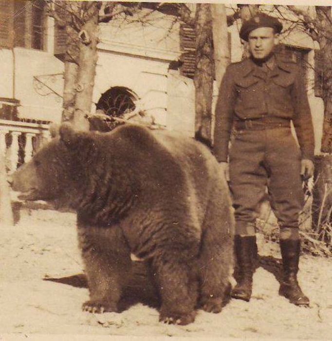 Orso Wojtek