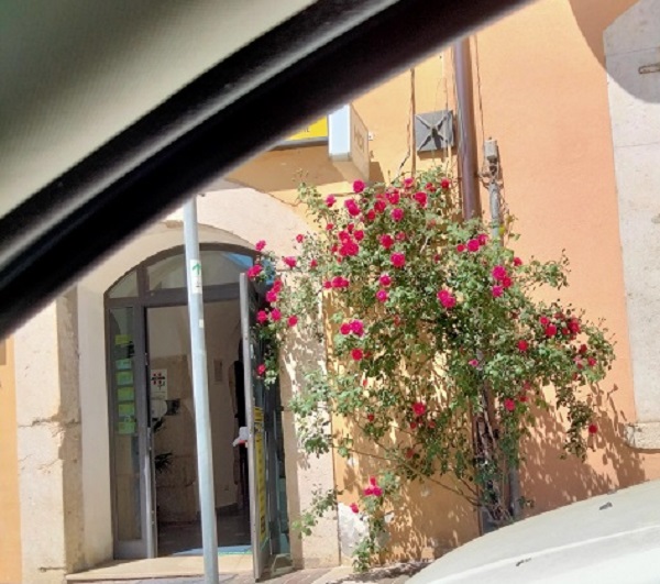 IMG20220428124857