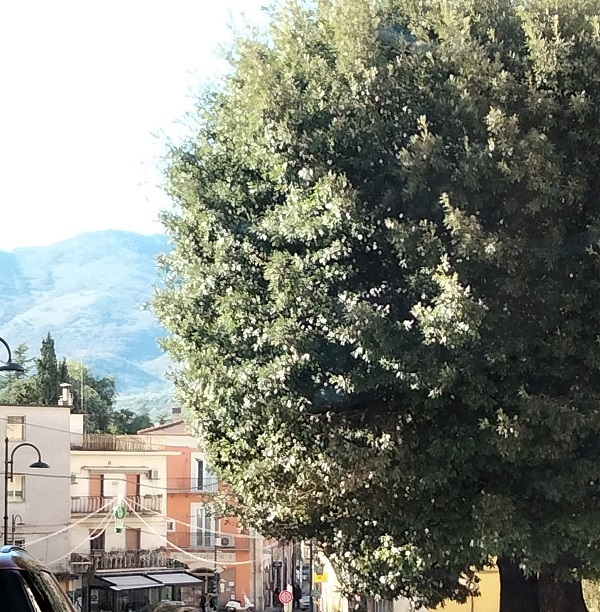 IMG20220107113955
